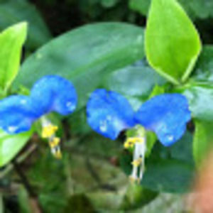 Meet your Posher, Nina